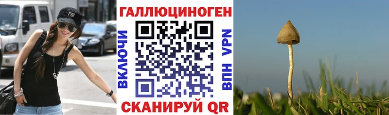 где купить наркотик  Бабаево  Галлюциногенные грибы Psilocybe 